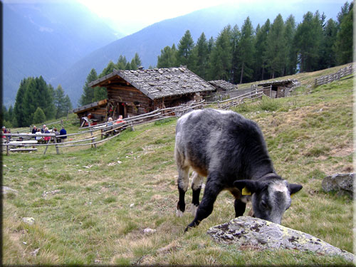 malga